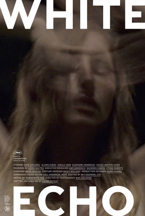 White Echo (2019) poster