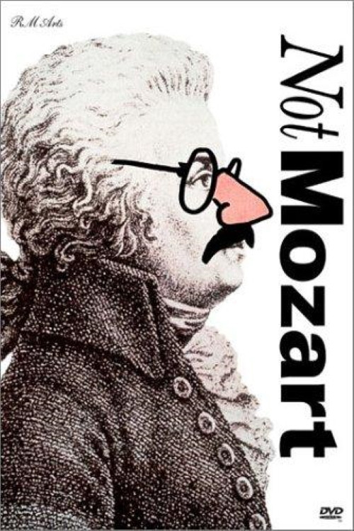 Not Mozart: Letters, Riddles and Writs (1991) poster