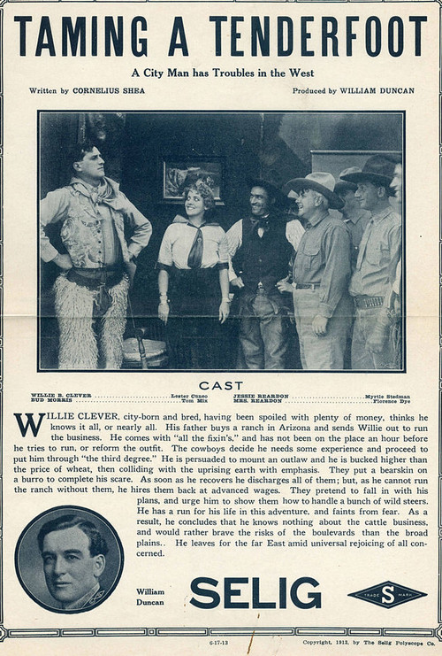 Taming a Tenderfoot (1913) poster