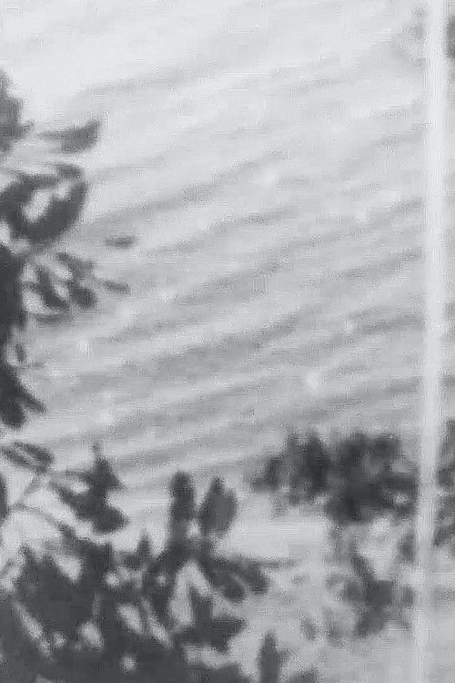 Point Chevalier Beach (2017) poster