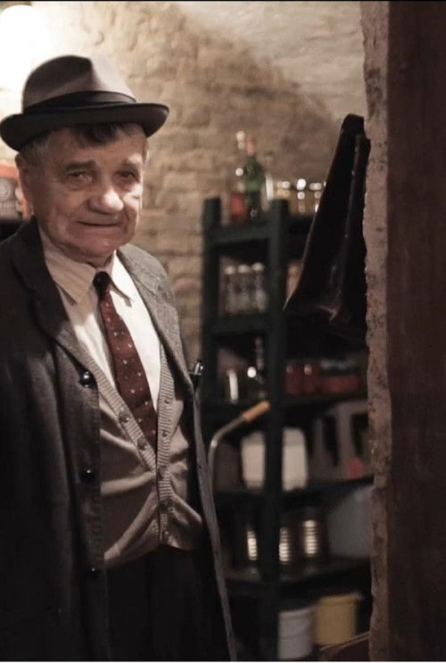 Der Herr Karl (2022) poster