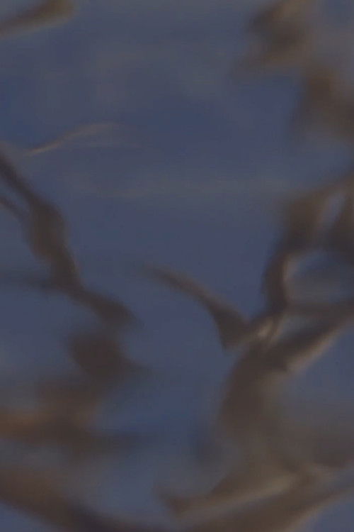 Monte Verita (2019) poster