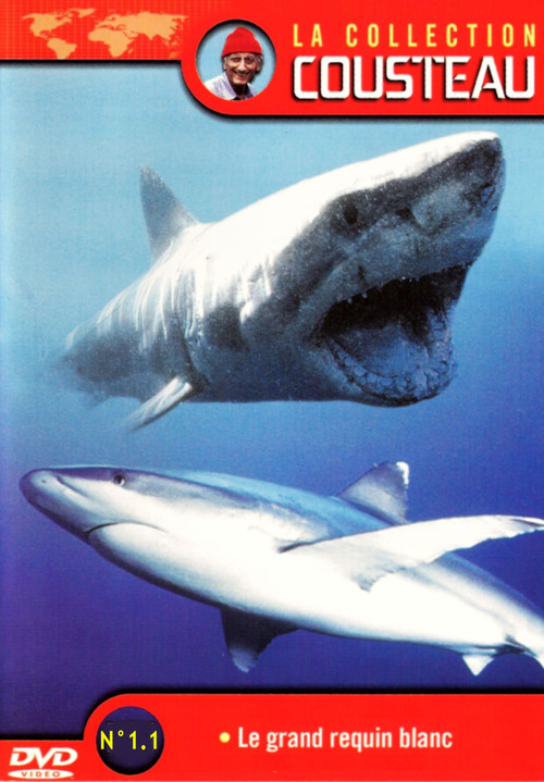 La Collection Cousteau N° 1 | Le Grand Requin Blanc | Les Requins Dormeurs Du Yucatan poster