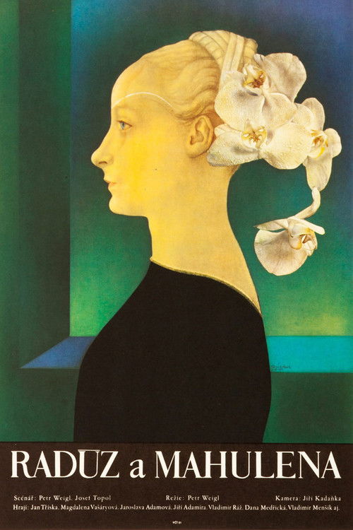 Radúz a Mahulena (1971) poster