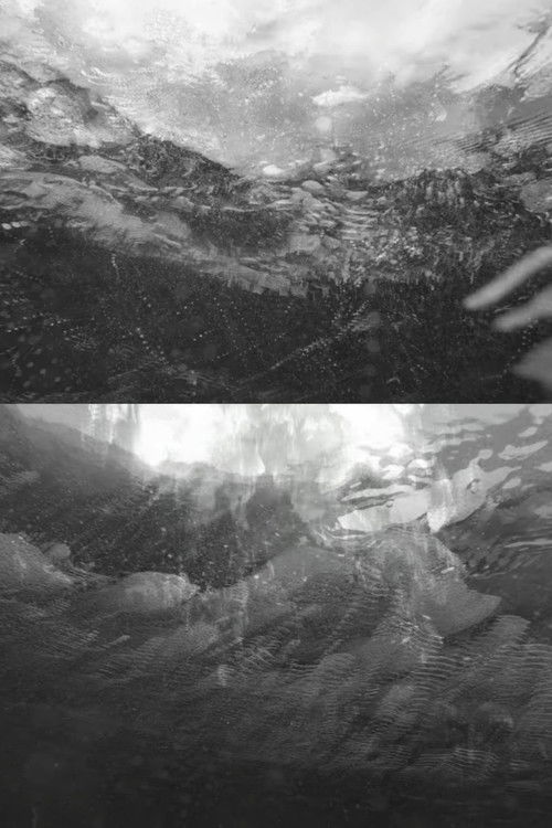 Starlight And Black Echo (2017) poster