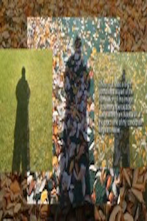 Self Portrait After Raban Take Measure (2008) poster