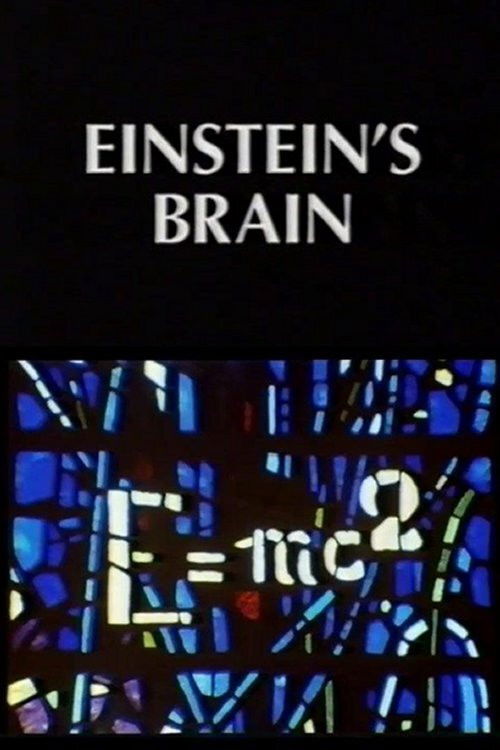 Relics: Einstein's Brain (1994) poster