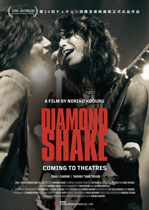 DIAMOND SHAKE (2024) poster