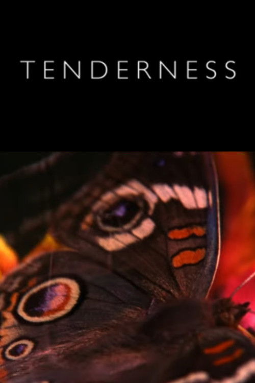 Tenderness (2017) poster