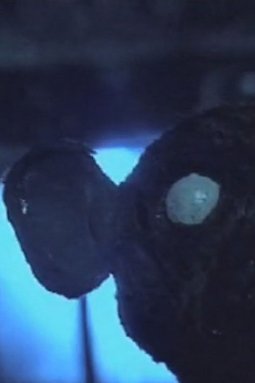 Run Monkey Run (2000) poster