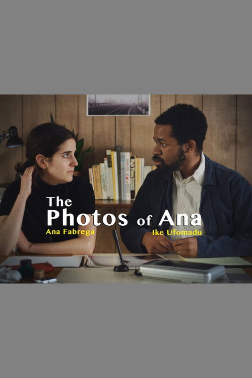 The Photos of Ana (2017) poster