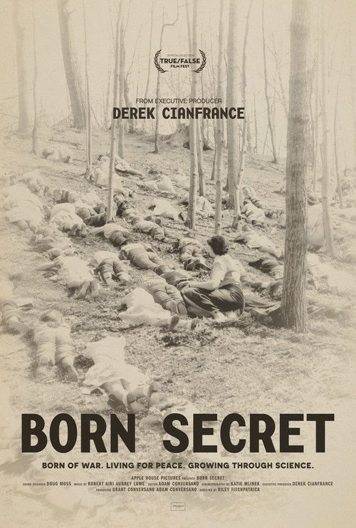Born Secret (2025) poster