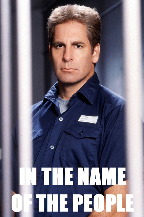 In the Name of the People (2000) poster