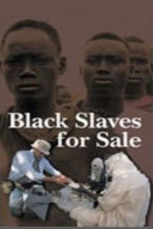 Black Slaves for Sale (2000) poster
