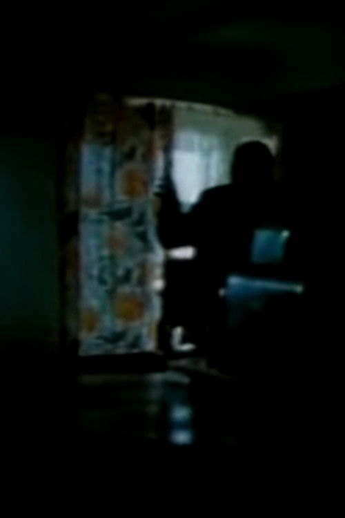 Przypadek Hermana Palacza (1986) poster