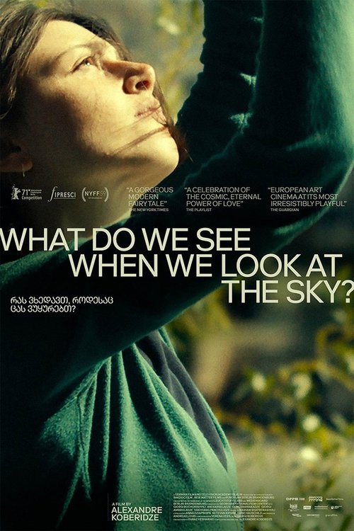 What Do We See When We Look at the Sky? (2021) poster