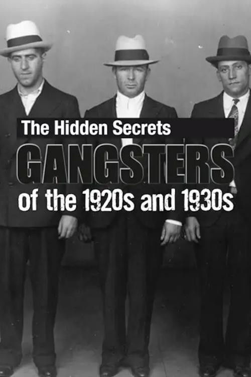 The Hidden Secrets: Gangsters of the 1920s and 1930s (2012) poster