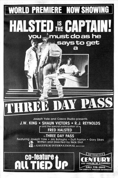 Three Day Pass (1981) poster