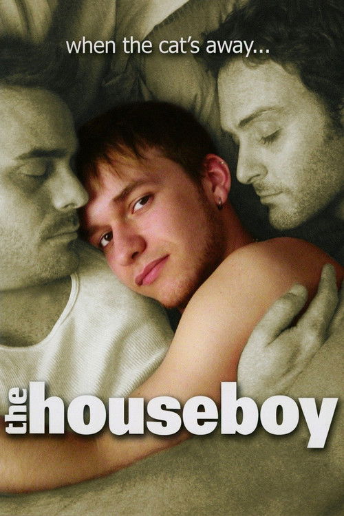 The Houseboy (2007) poster