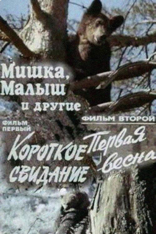 Little Bear, Baby and Others (1981) poster