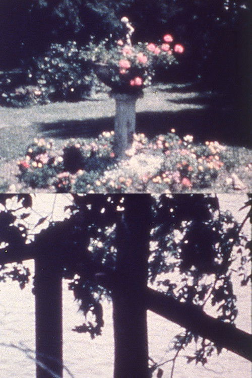 A Reticule of Love (1963) poster