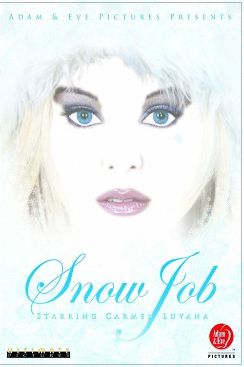 Snow Job (2004) poster