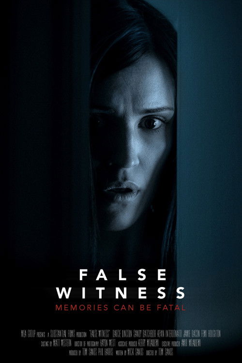 False Witness (2019) poster