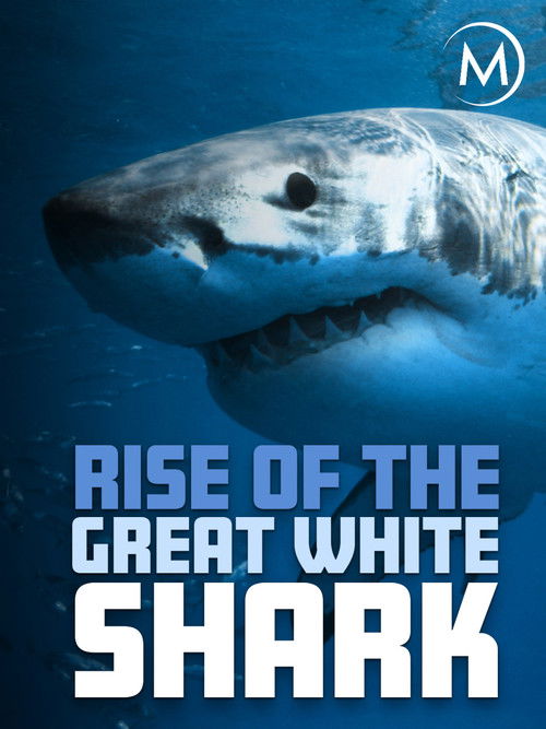 Rise Of The Great White Shark (2017) poster