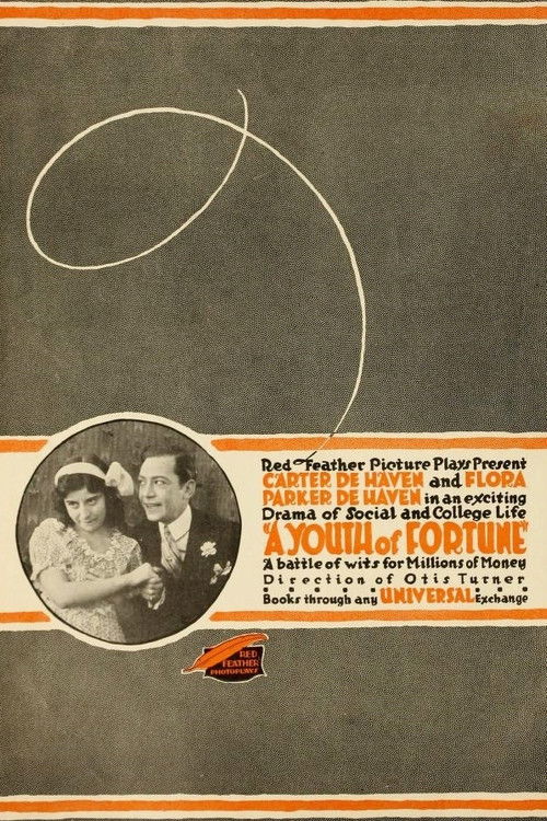 A Youth of Fortune (1916) poster