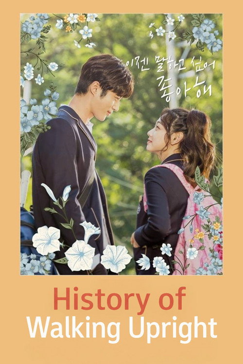 직립보행의 역사 (2017) poster