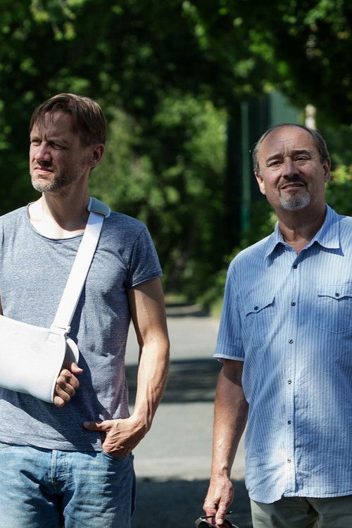 Případ pro malíře (2016) poster