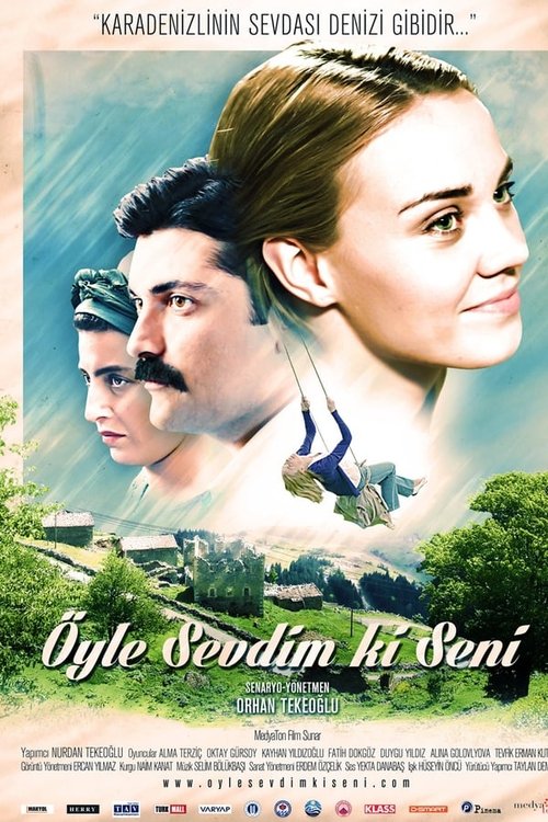 Öyle Sevdim ki Seni (2013) poster