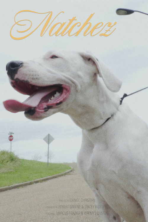 Natchez (2020) poster