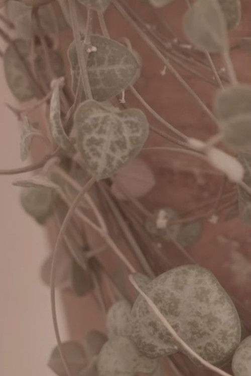 (untitled) (2020) poster