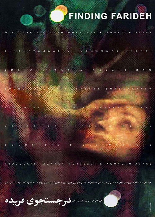 Finding Farideh (2018) poster
