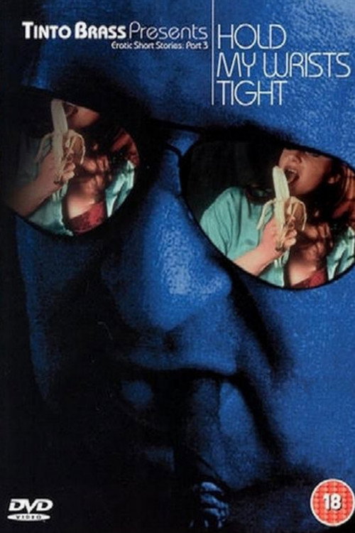 Tinto Brass'tan Erotik Kısa Öyküler: 3. Bölüm (1999) poster