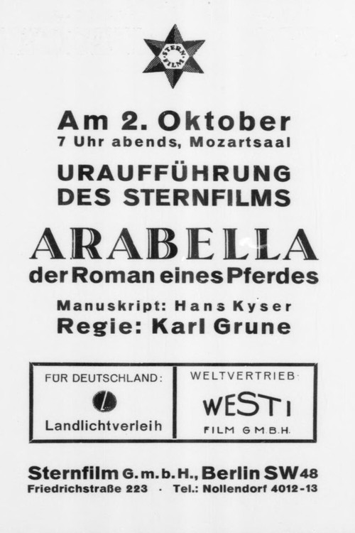 Arabella (1924) poster