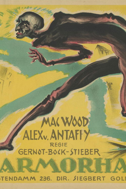 The invisible thief (1920) poster