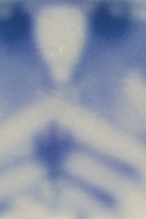 untitled (camera roll) (2017) poster