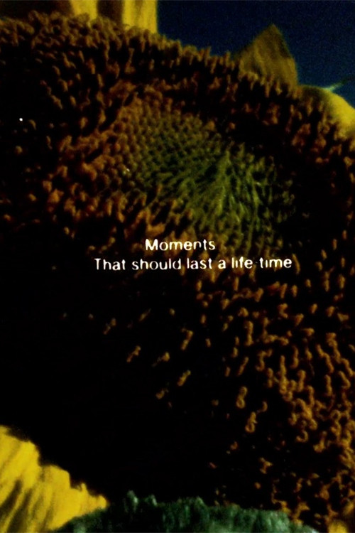 Illuminated Texts (1982) poster