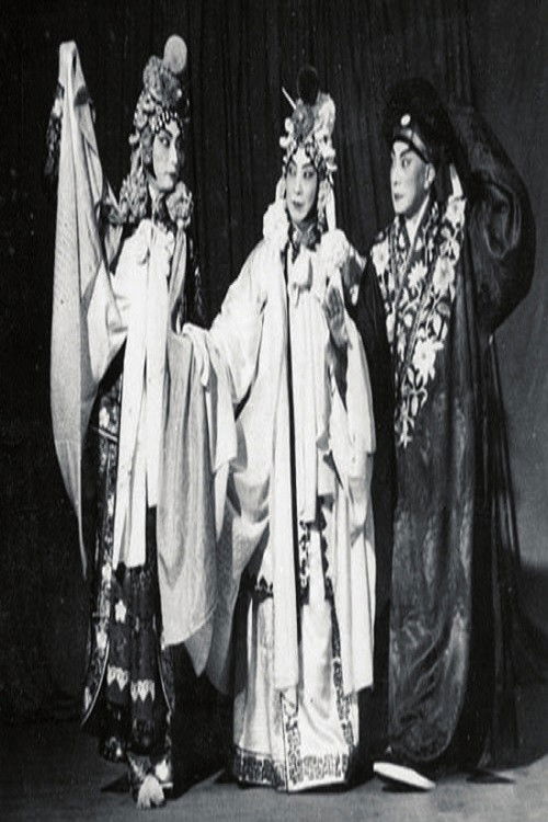 白蛇传-断桥 (1955) poster