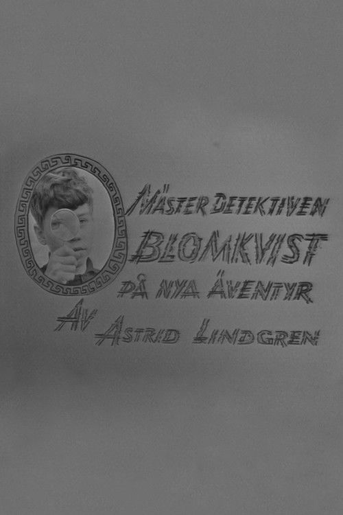 Mästerdetektiven Blomkvist på nya äventyr (1966) poster
