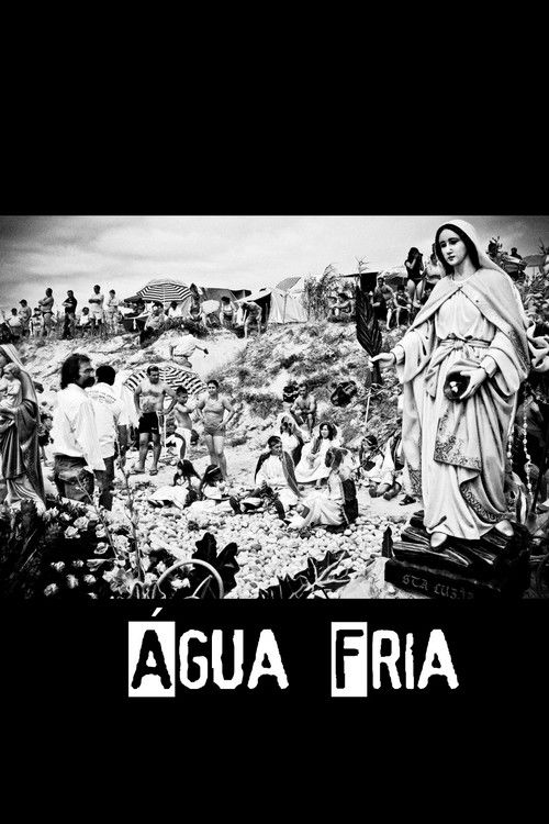 Água Fria (2011) poster