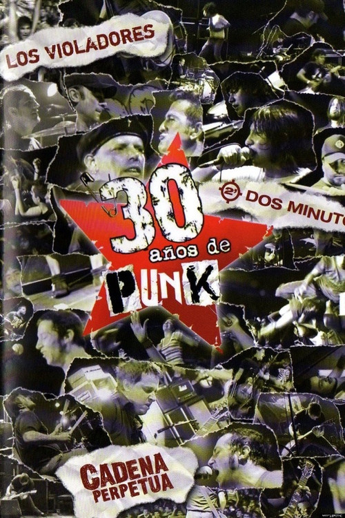 30 años de punk (2009) poster