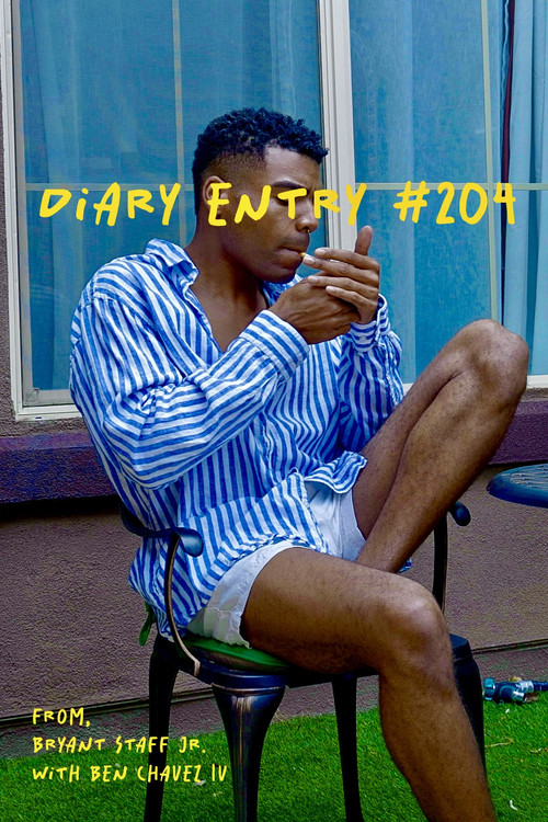 Diary Entry #204 (2024) poster