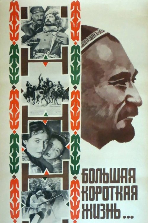 Big Short Life (1981) poster