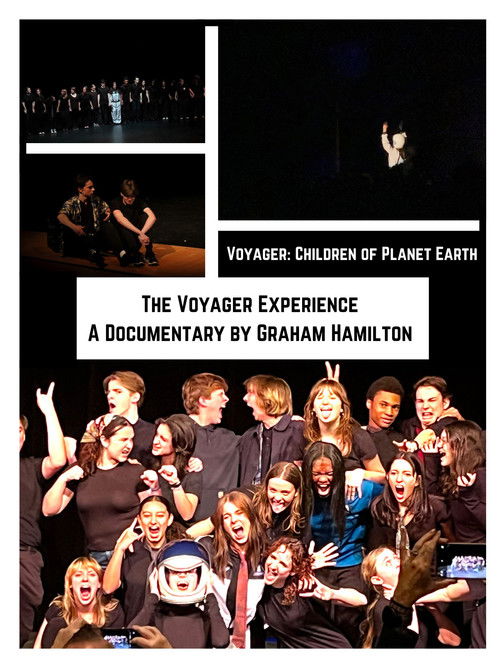 The Voyager Experience (2025) poster