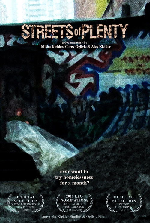 Streets of Plenty (2010) poster