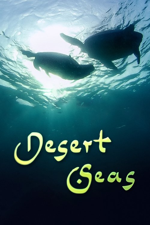 Desert Seas (2011) poster