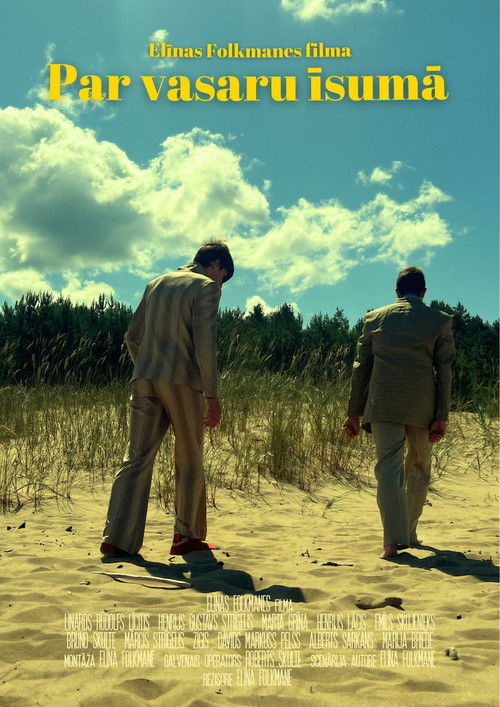 Summing up summer (2024) poster